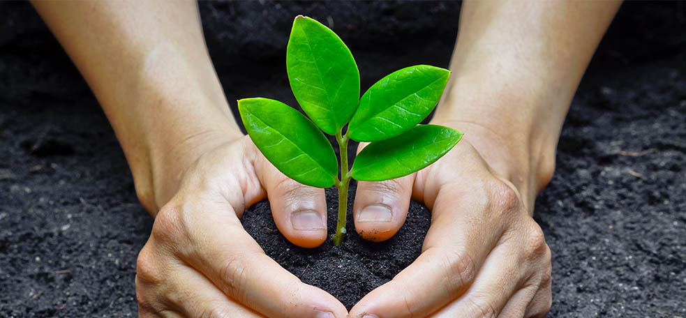 perfect_fit_hero PerfectFit® is greener more sustainable option than standard stock products
