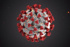 Coronavirus COVID-19 from the CDC