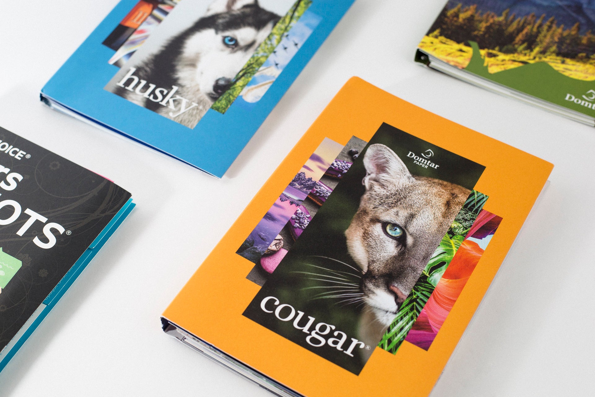 Domtar Swatch Books for Cougar, Husky, Lynx, and Earthchoice