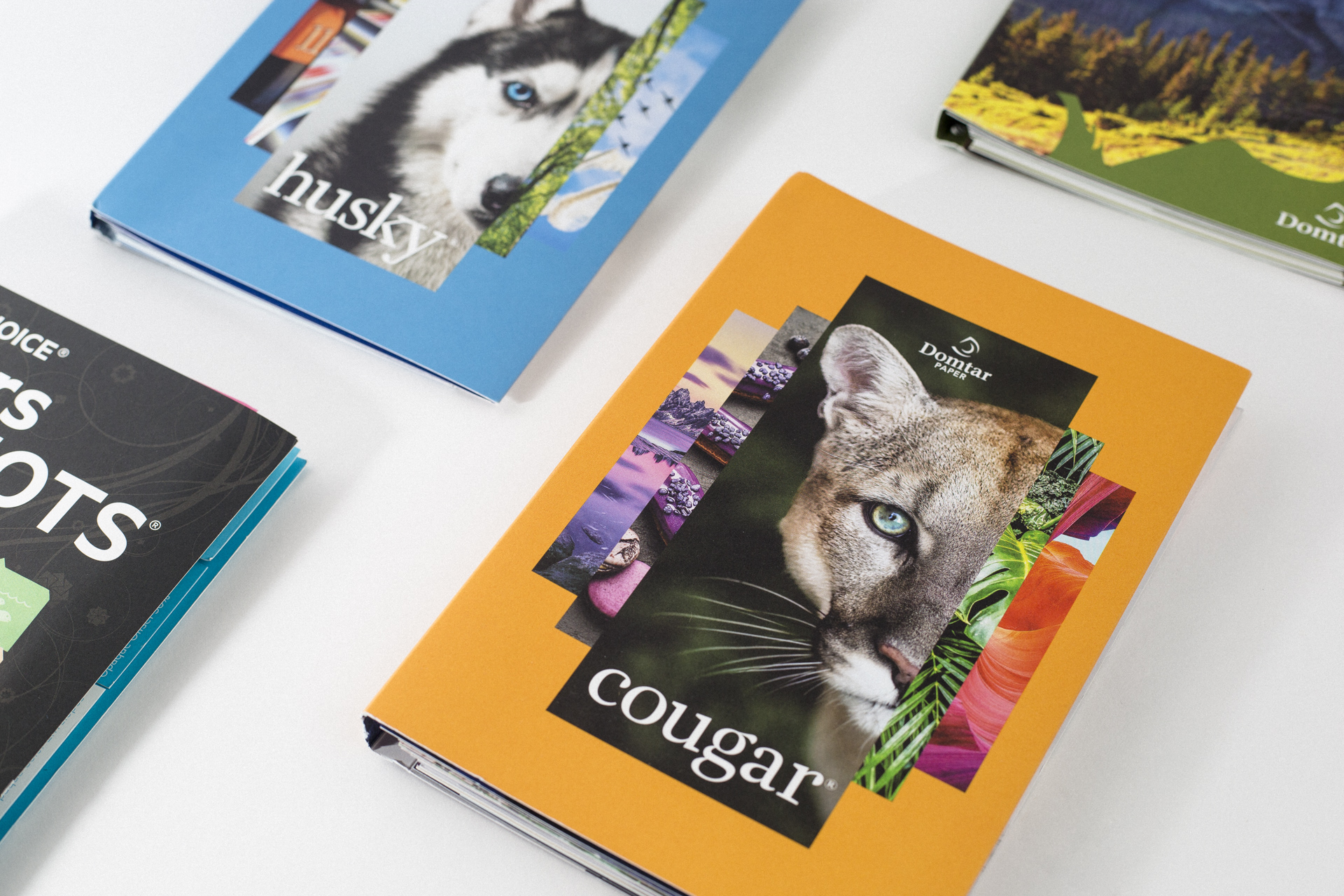 Domtar Swatch Books for Cougar, Husky, Lynx, and Earthchoice