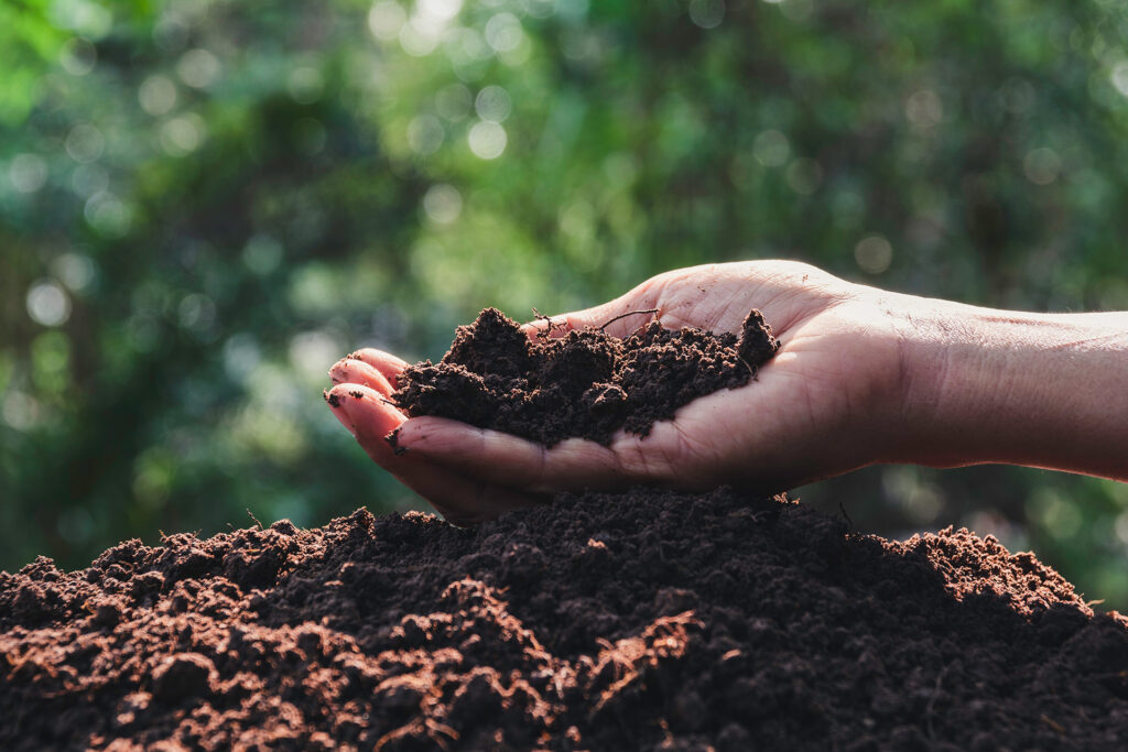 Hand holding soil