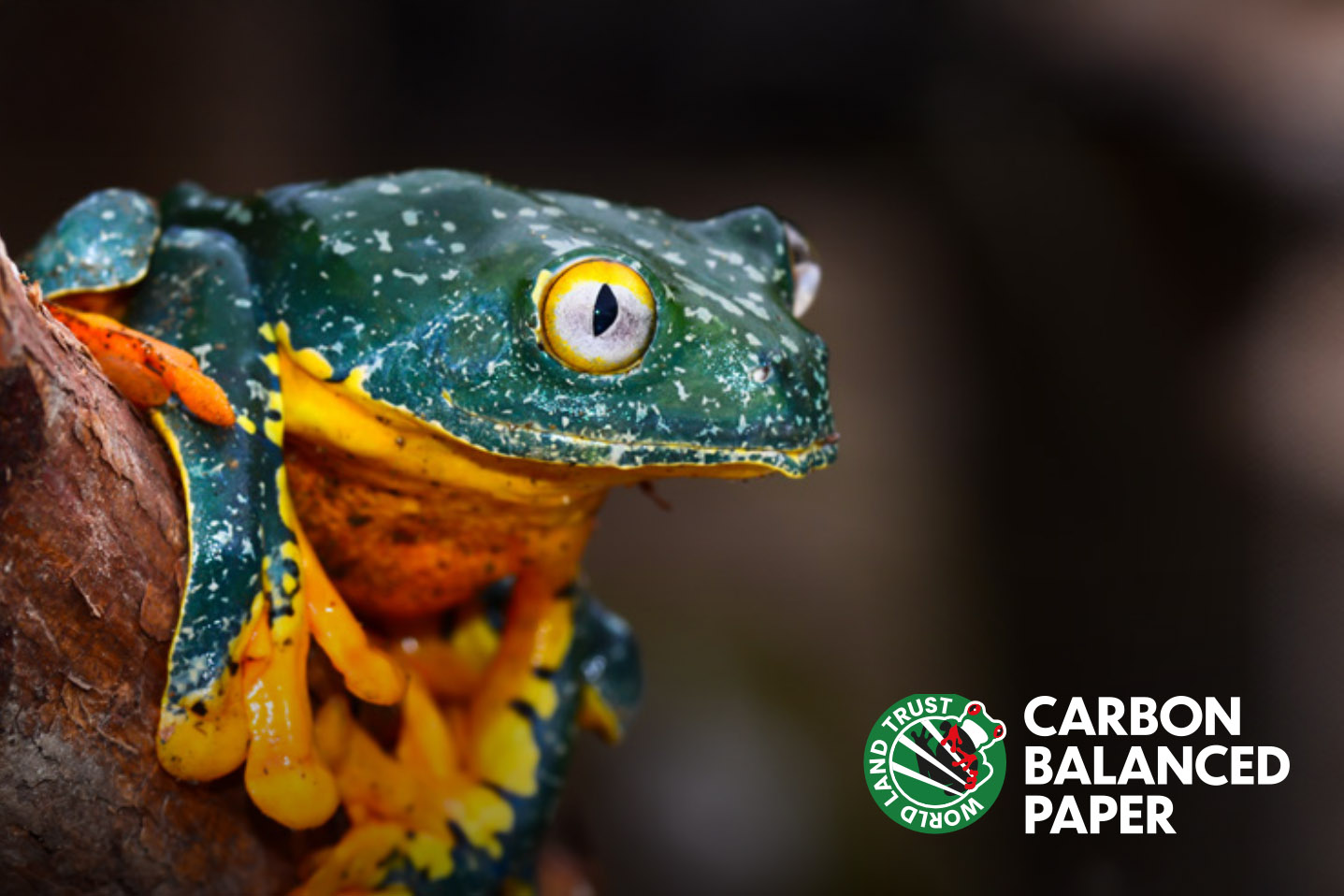 Carbon Balanced Paper North America - WCP Solutions Paper Merchant